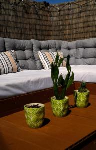 three plants on a coffee table in front of a couch at IKARUS apartment with courtyard & pool in Chania in Stérnai +22 photos