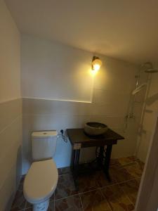 a bathroom with a toilet and a sink at Căsuța de Sub Deal in Lunca