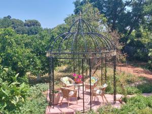 A garden outside BELLA CISTERNA