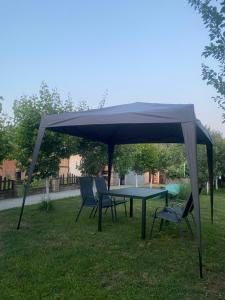 Κήπος έξω από το Kuca za odmor-Tisa Hideaway