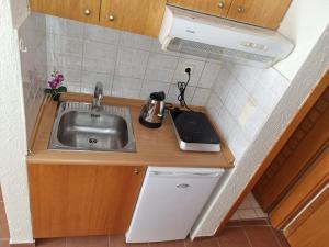 Kuchyň nebo kuchyňský kout v ubytování Astro Studio Apartments