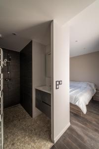 una camera con letto e doccia di La Prairie ad Annecy