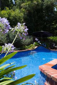 a swimming pool with purple flowers and an umbrella at Armour Motor Inn in Beechworth