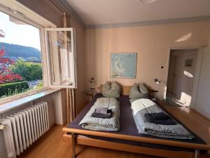 a bedroom with two beds and a large window at Lautertal Panorama-Suite - Kingsize-Bett & Badewanne & Dusche - Raucherbereich vor überdachten Terrasse - Rosengarten - Parkplätze 15m entfernt- Naturschutzgebiet vor Haustüre - sehr ruhige Gegend - Self-Checkin - 45qm2 in Blaustein