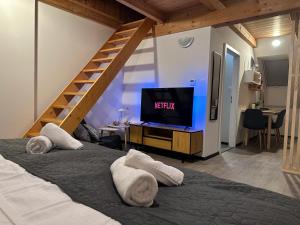 TV a/nebo společenská místnost v ubytování Apartments 23