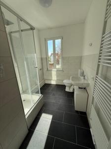 Un baño con inodoro, lavabo y ducha. en Apartment Borsdorf 2 R, en Leipzig