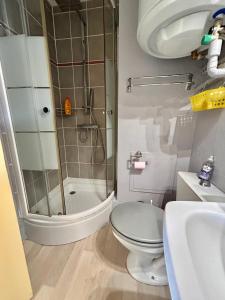 une salle de bains avec douche, toilettes et lavabo dans l'établissement Au balcon de la mer, appartement à Marseillan plage, à Marseillan