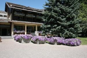 
a garden filled with flowers next to a building at Palace Hotel Wellness & Beauty in Bormio
