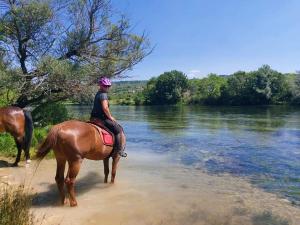 eine Person, die auf einem Pferd im Wasser reitet in der Unterkunft Villa Ana in Vodice