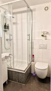 une salle de bain avec douche et toilettes dans l'établissement Nova Freiburg Dunantstraße, à Fribourg-en-Brisgau