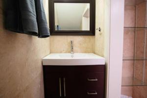 a bathroom with a sink and a mirror at Hamilton Suite 2 - Ground Floor, Heart of Downtown in Savannah
