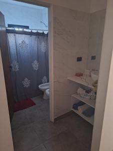 Un baño con ducha, inodoro y lavabo. en Ale Siciliano, en General San MartÃ­n