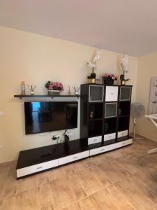 een groot entertainmentcentrum met een flatscreen-tv bij BlancMar Peñiscola in Peñíscola +21 foto's