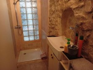 a bathroom with a sink and a shower and a toilet at Joli T2 provençal plain-pied CV cour in Orange +8 photos