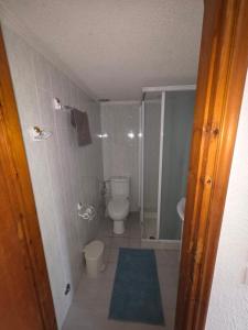 a small bathroom with a toilet and a shower at Pati's summer house in Siviri +14 photos