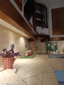 a kitchen with a potted plant sitting on the floor at TORRACCHIONE House in Barberino di Mugello