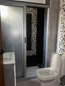 a bathroom with a toilet and a shower and a sink at Appartement Belyouneche in Belyounech 