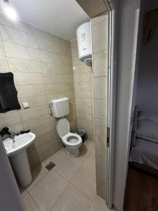 a bathroom with a toilet and a sink at Sara s Apartments in Ulcinj