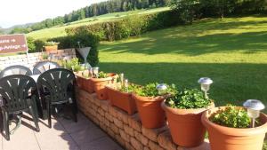 Zahrada ubytování Hotel Sonnenhof