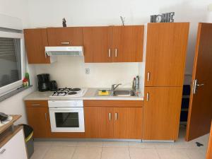 Kuchyň nebo kuchyňský kout v ubytování Apartman Kraljević Vir