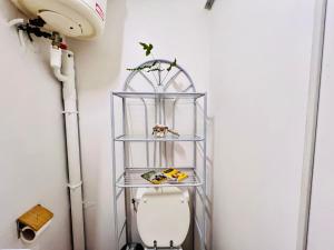 法兰西堡L amour wifi Clim balcon的相册照片