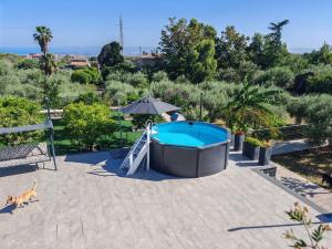un perro caminando junto a una piscina en DOMUS ULIVI LUXURY ROOMS Moresca, en Catania