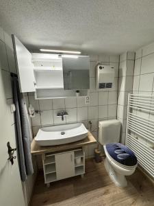 Koupelna v ubytování Bijou N 2 Lungern