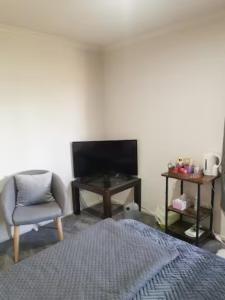TV a/nebo společenská místnost v ubytování Double Room Free WIFI