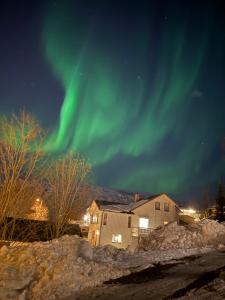 an aurora in the sky over a house at Sentral og koselig leilighet in Tromsø