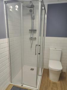 a shower stall in a bathroom with a toilet at Apartamento La Casica Beach Poniente in Águilas +14 photos