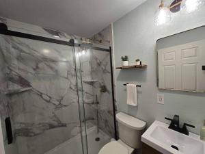 a bathroom with a shower and a toilet and a sink at Stylish Modern Studio in Vibrant Walker's Point in Milwaukee