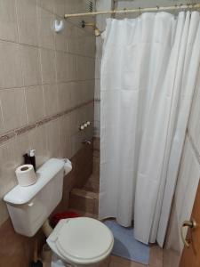 エル・カラファテにあるAlmas Viajerasのトイレとシャワーカーテン付きのバスルーム