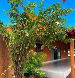 a tree in front of a building at Ipê Dourado Hotel in Natividade +6 photos