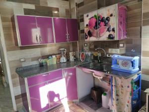 マルサ・マトルーフにあるTown House in Andalusia Villageのキッチン(紫色のキャビネット、シンク付) +7枚の写真