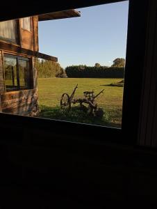 a bike sitting in the grass outside a window at Cabaña El Castillo in Chascomús