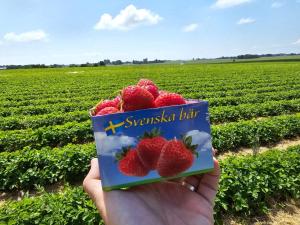 Afbeelding uit fotogalerij van 2 person holiday park home in TESTBY in Malmö