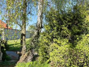 ヘルヴィーケンにある4 person holiday home in Höllvikenのギャラリーの写真 +20枚の写真