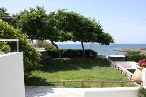 a yard with a bench and a tree and the ocean at Aktio Studios in Gavrio