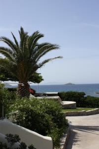 a palm tree on the side of a road next to the ocean at Aktio Studios in Gavrio