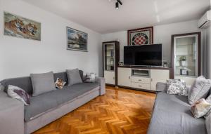 Μια τηλεόραση ή/και κέντρο ψυχαγωγίας στο Gorgeous Home In Slunj With Kitchen