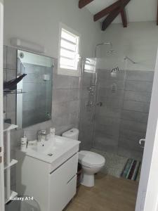 Un baño con inodoro, lavabo y ducha. en EDEN EVe, en Sainte-Anne