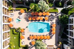 Bazén v ubytování Palm Mountain Resort & Spa nebo v jeho okolí
