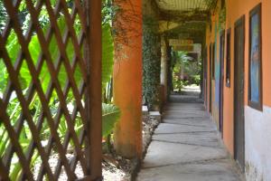 Fotografie z fotogalerie ubytování Hostel Piramys v destinaci Tapantí