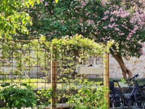 Zahrada ubytování Holiday home SIMRISHAMN