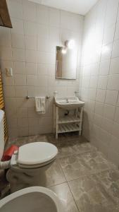 a bathroom with a toilet and a sink at Benvinguts Casa y Apartamentos de 1 a 12 personas Pleno Centro Santa Rosa de Calamuchita in Santa Rosa de Calamuchita