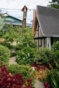 Zahrada ubytování Bach Place Dalat