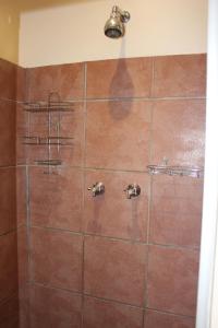 a shower with a brown tiled wall at Charming Self Catering Apartment in Phalaborwa