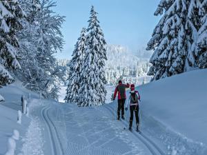 Chalet in Wiler near Ski Lift & Views, cleaning included v zimě