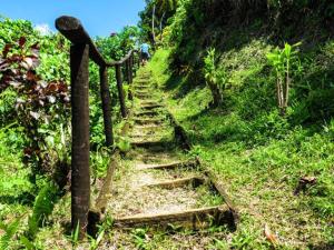 a group of stone steps on a grassy hill at Grace Homestay in Naselesele