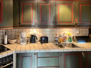 una cocina con fregadero y encimera en Mountain Cabin Near Dovre With Panoramic View, en Oppdal